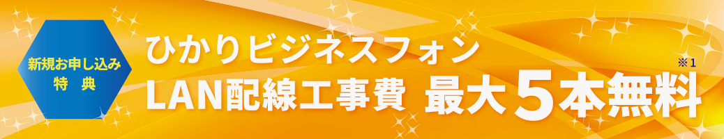 ひかりビジネスフォン LAN配線工事費 最大5本無料