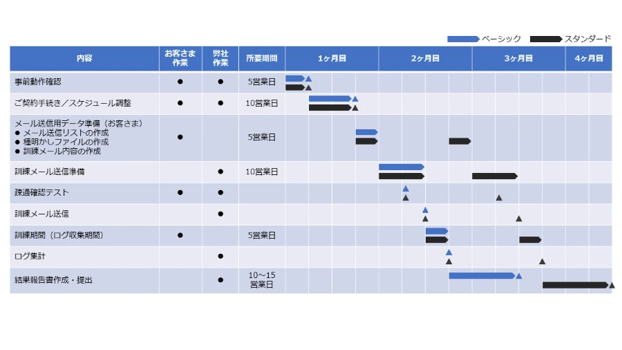 実施スケジュール例
