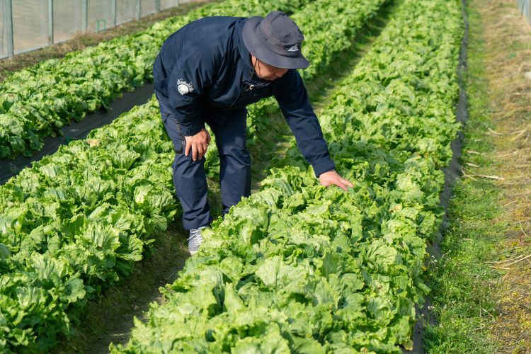 青空株式会社がめざす「未来の農業」