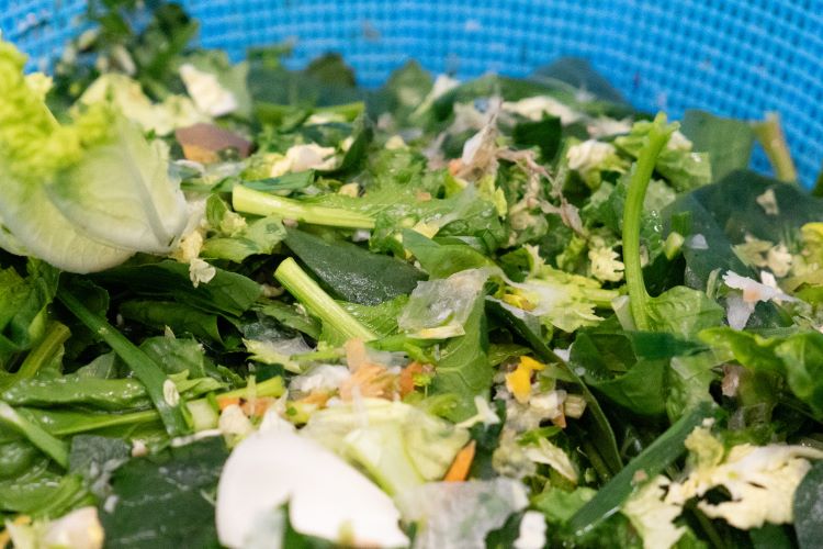 処理コストを抑え循環肥料を活用する仕組みへ