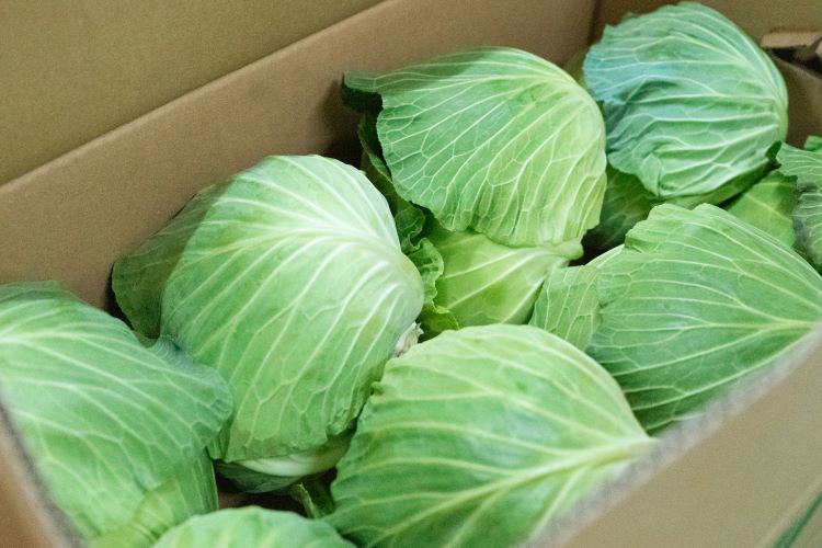 環境問題解決への一歩になるおいしい食卓へ