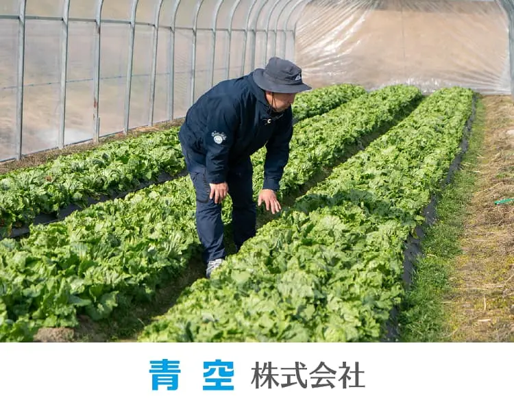 青空株式会社