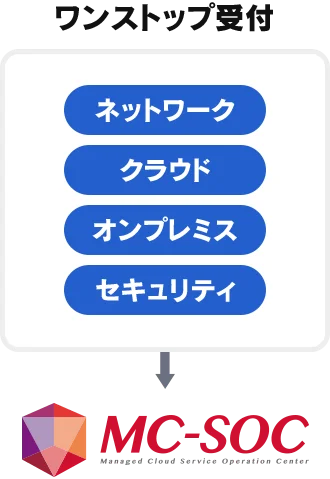 高度セキュリティオプション